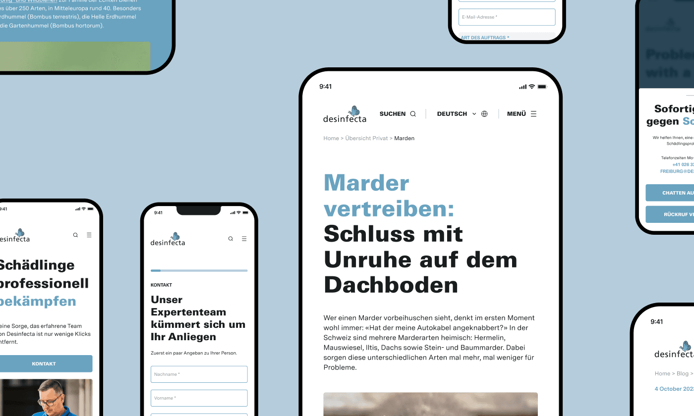 Effiziente Weblösung für Desinfecta: Keine Spur von Bugs