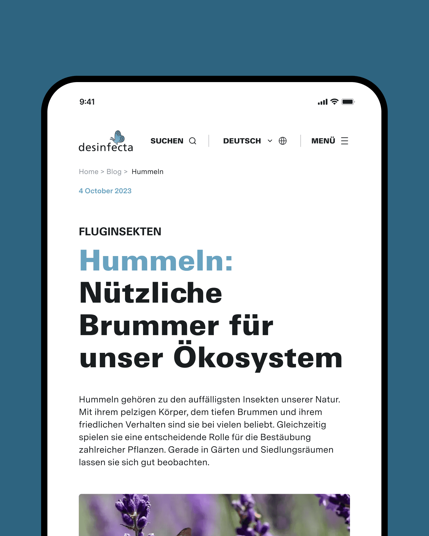 Effiziente Weblösung für Desinfecta: Keine Spur von Bugs 2